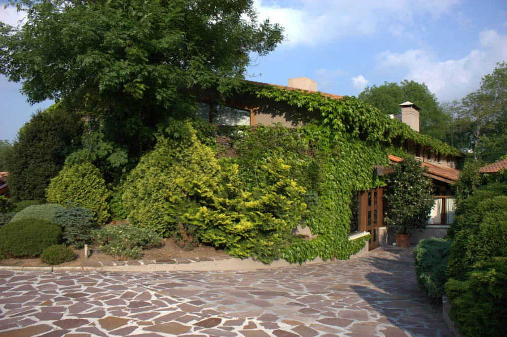 The leafy entrance to Mugaritz in the Basque Country